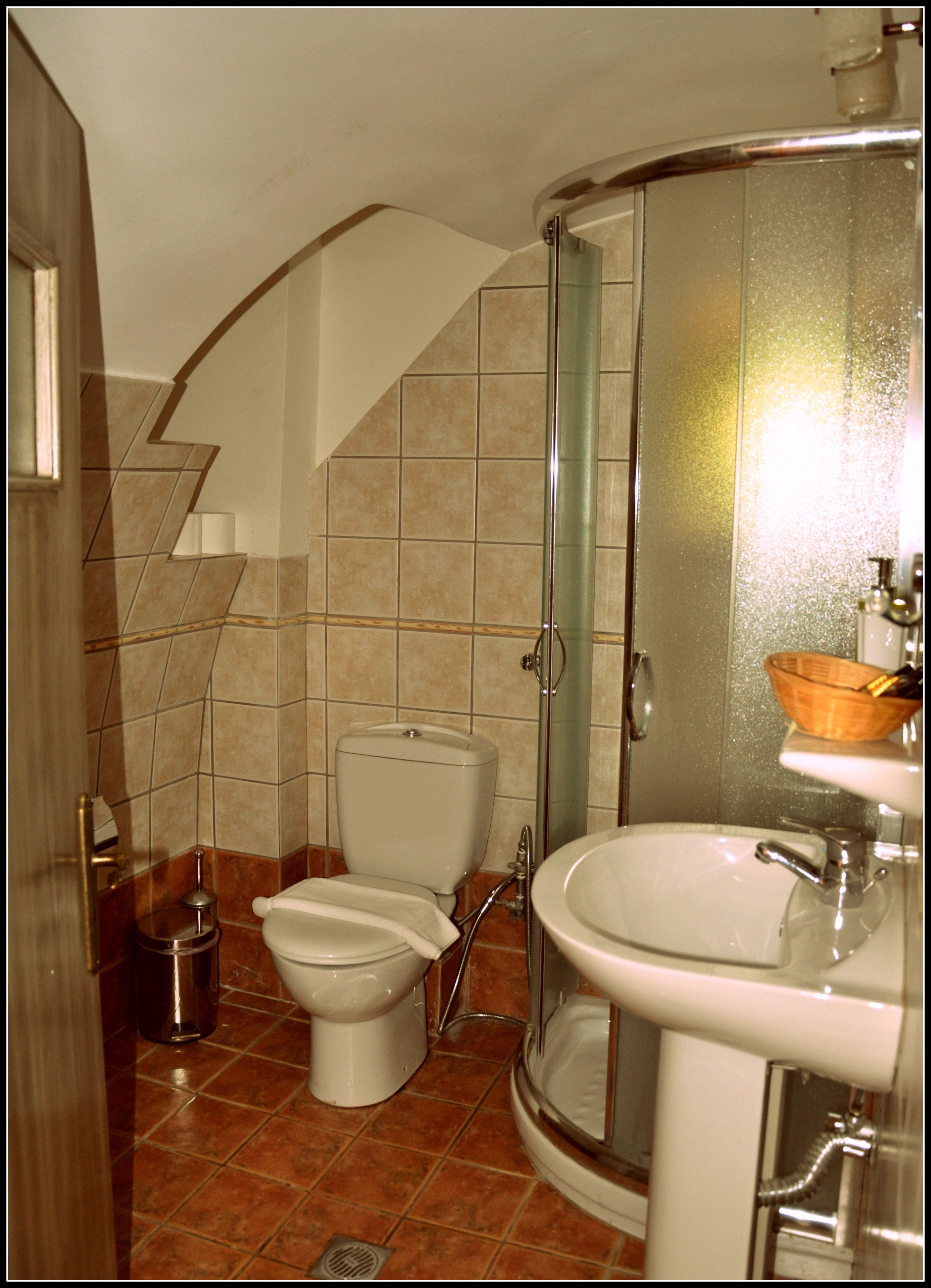 studio, terrace (2 adults) | bathroom | shower, free toiletries, hair dryer, towels