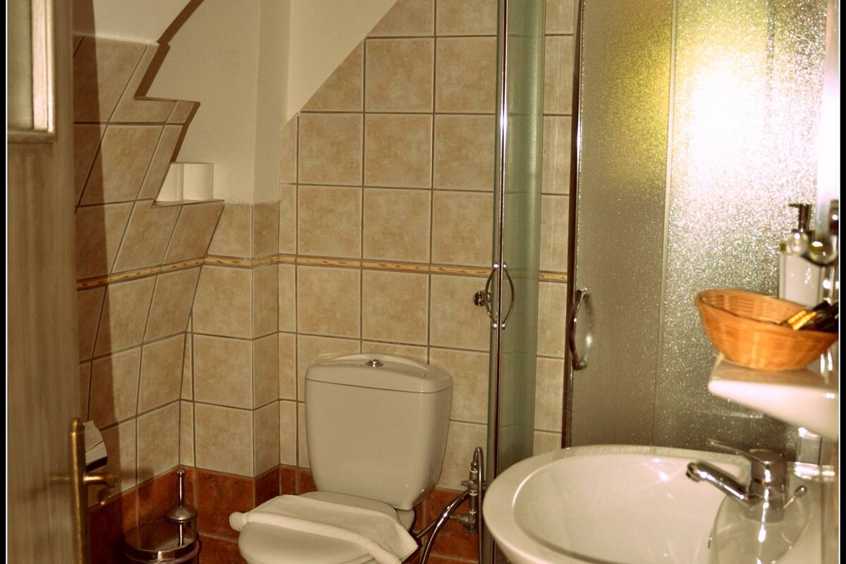 studio, terrace (2 adults) | bathroom | shower, free toiletries, hair dryer, towels