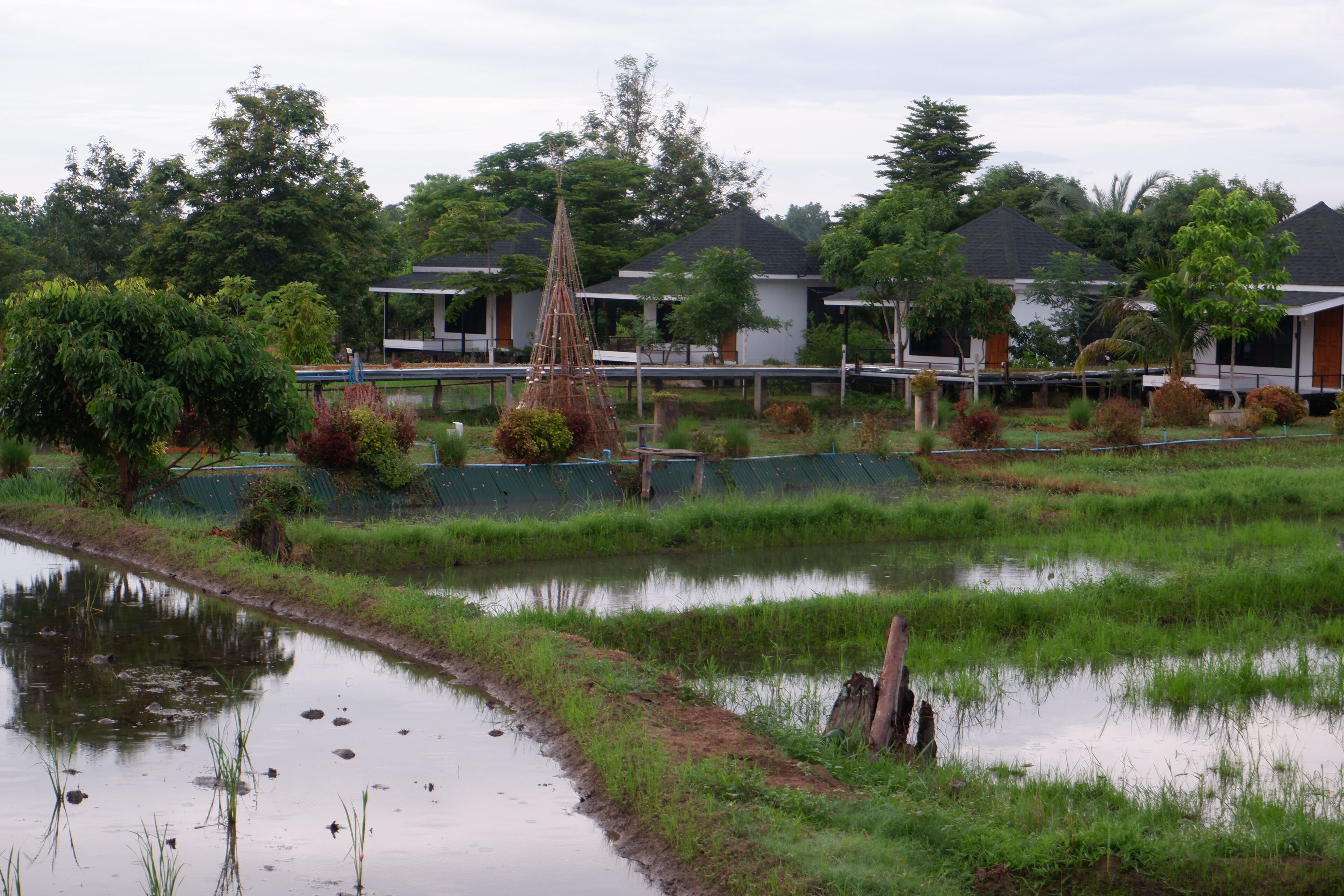 บริเวณภายนอก
