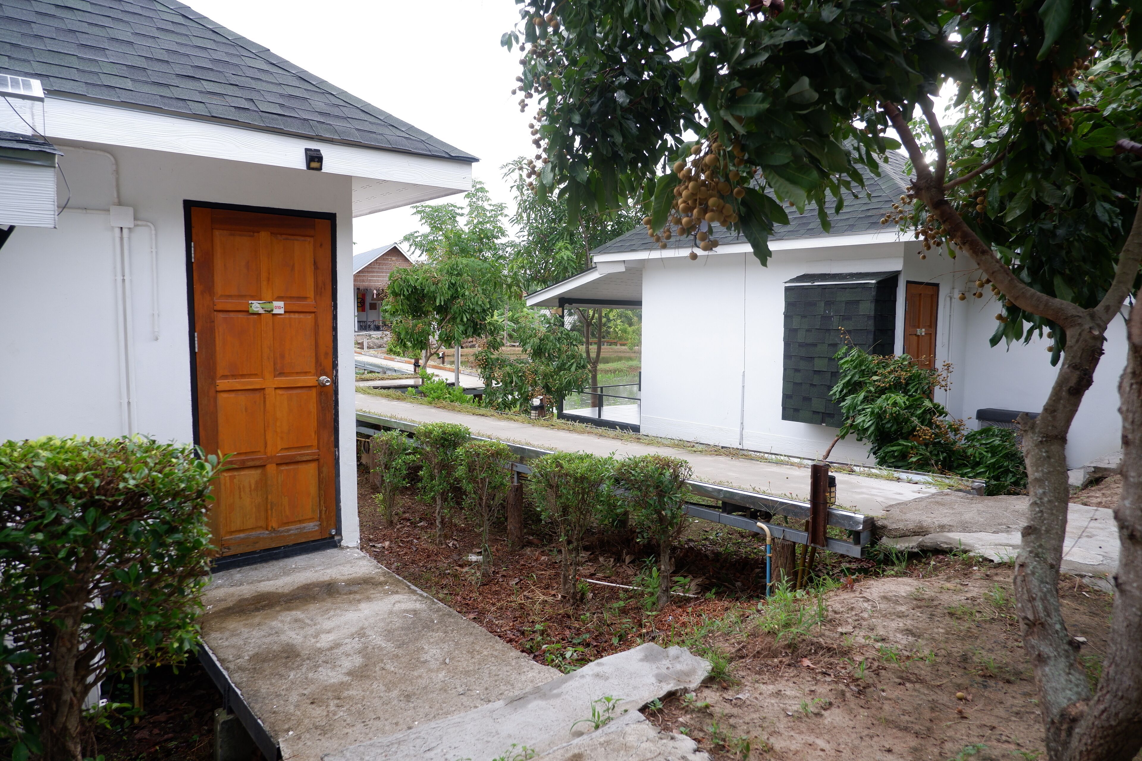 A residential area with a wooden door, a white building, and a tree with fruit.