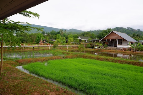 Exterior. Nok Chan Mee Na