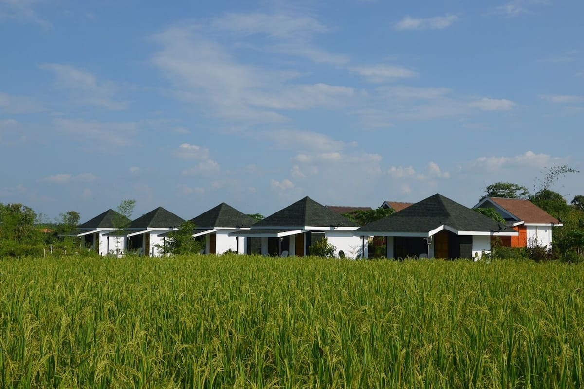 Deluxe Double Room | Free WiFi, bed sheets