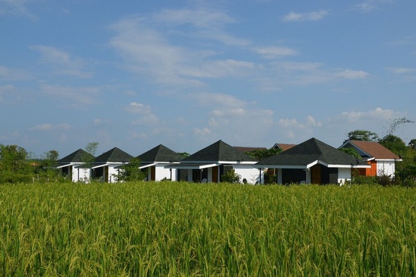 Deluxe Double Room | Free WiFi, bed sheets
