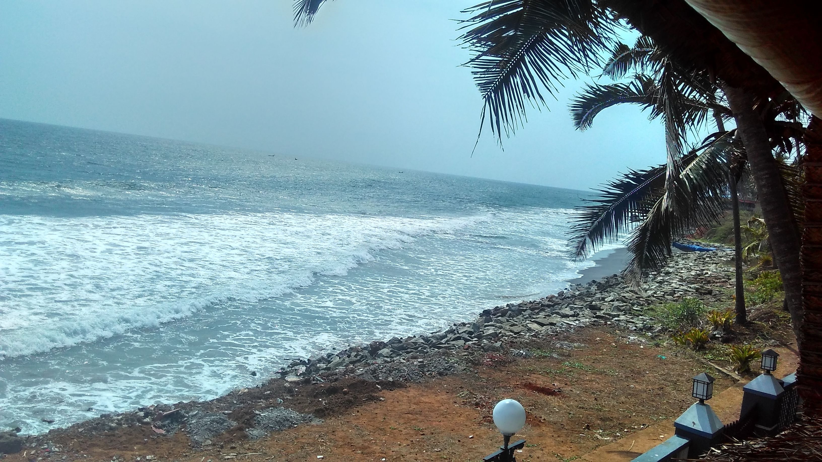 A beach with waves crashing onto a rocky shore, palm trees, and a clear sky.