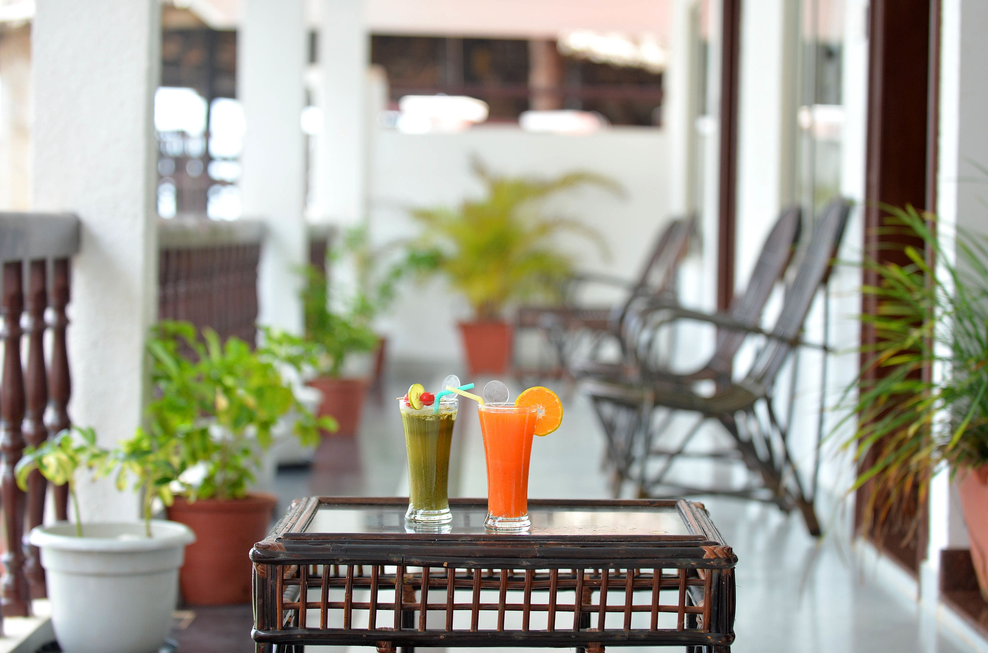 Two drinks on a table with potted plants around.