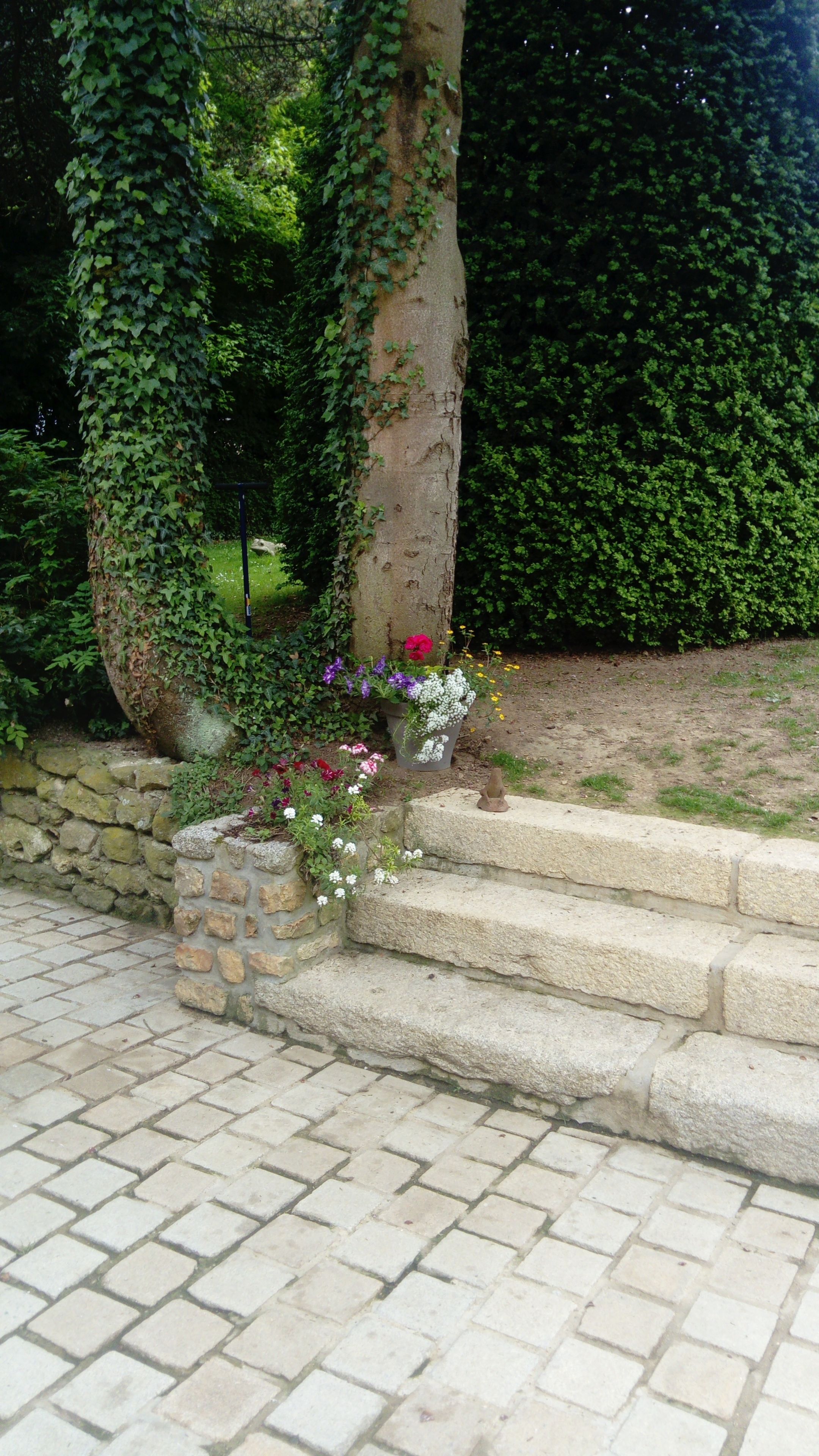 Una escalera de piedra conduce a un jardín con diversas flores y un árbol cubierto de hiedra.