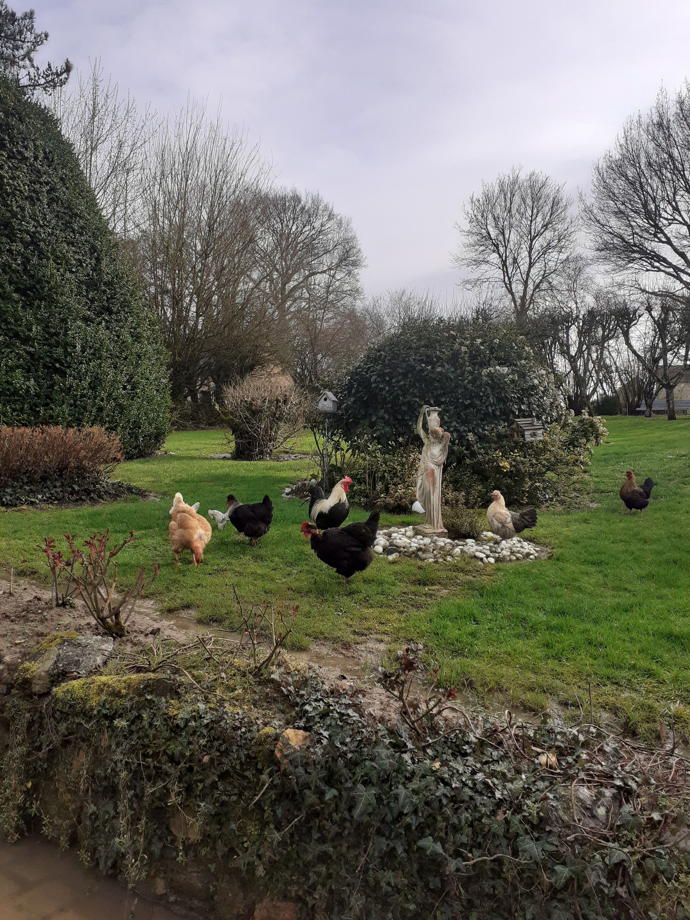 Un jardín con una estatua, gallinas y un estanque.