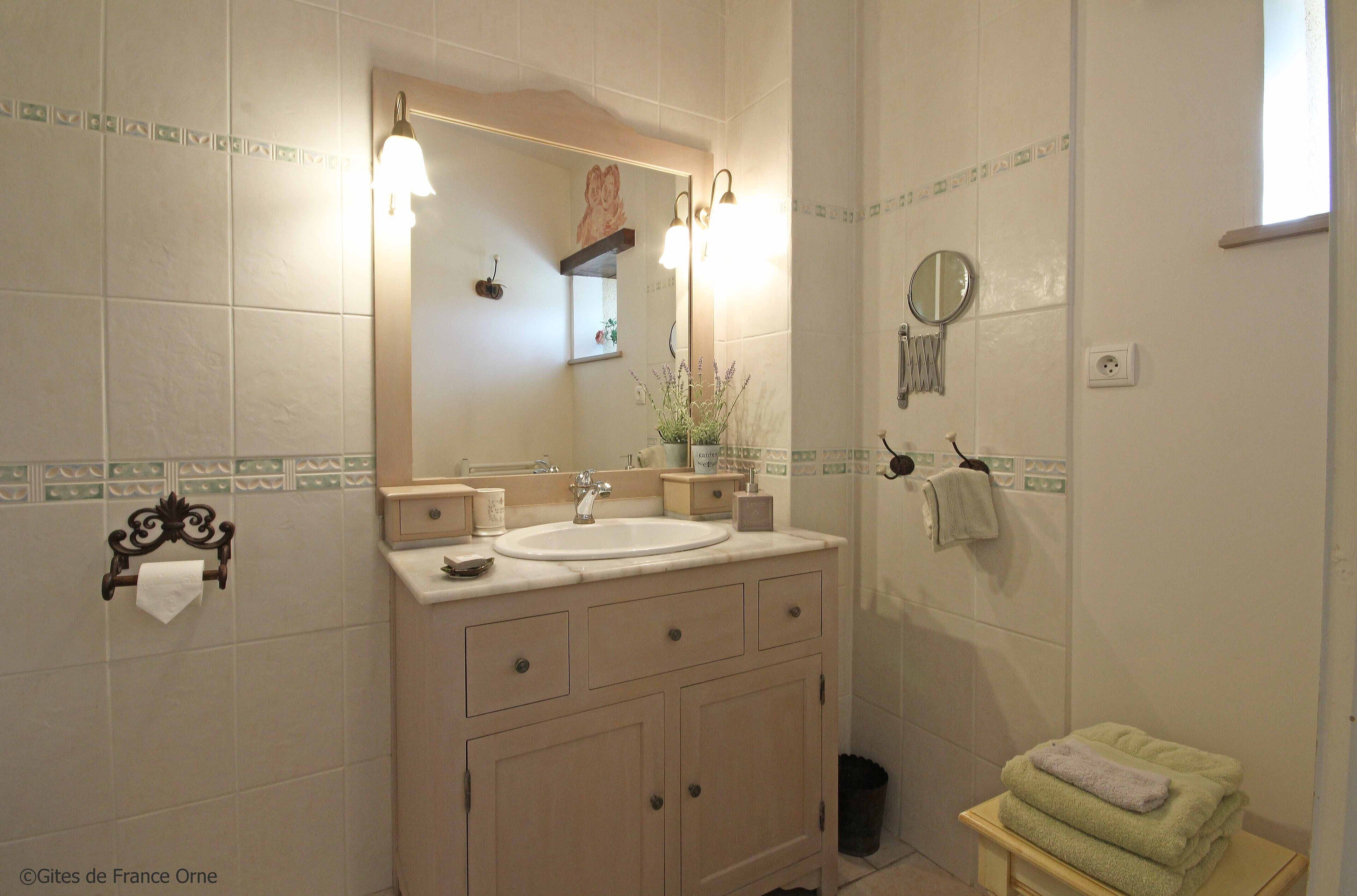 A bathroom with a sink, mirror, towel rack, and a small plant on the counter.