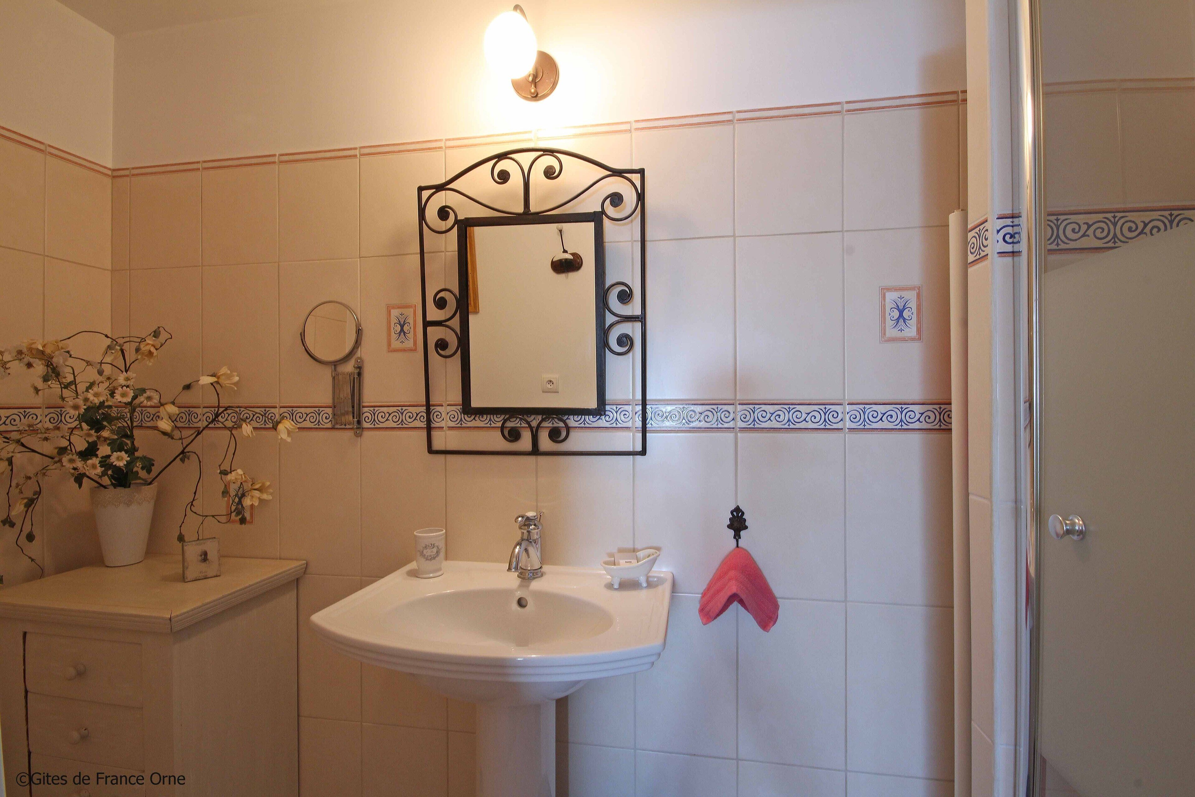 A bathroom with a white sink, a mirror with a decorative frame, a towel rack with a pink towel, and a potted plant with flowers.