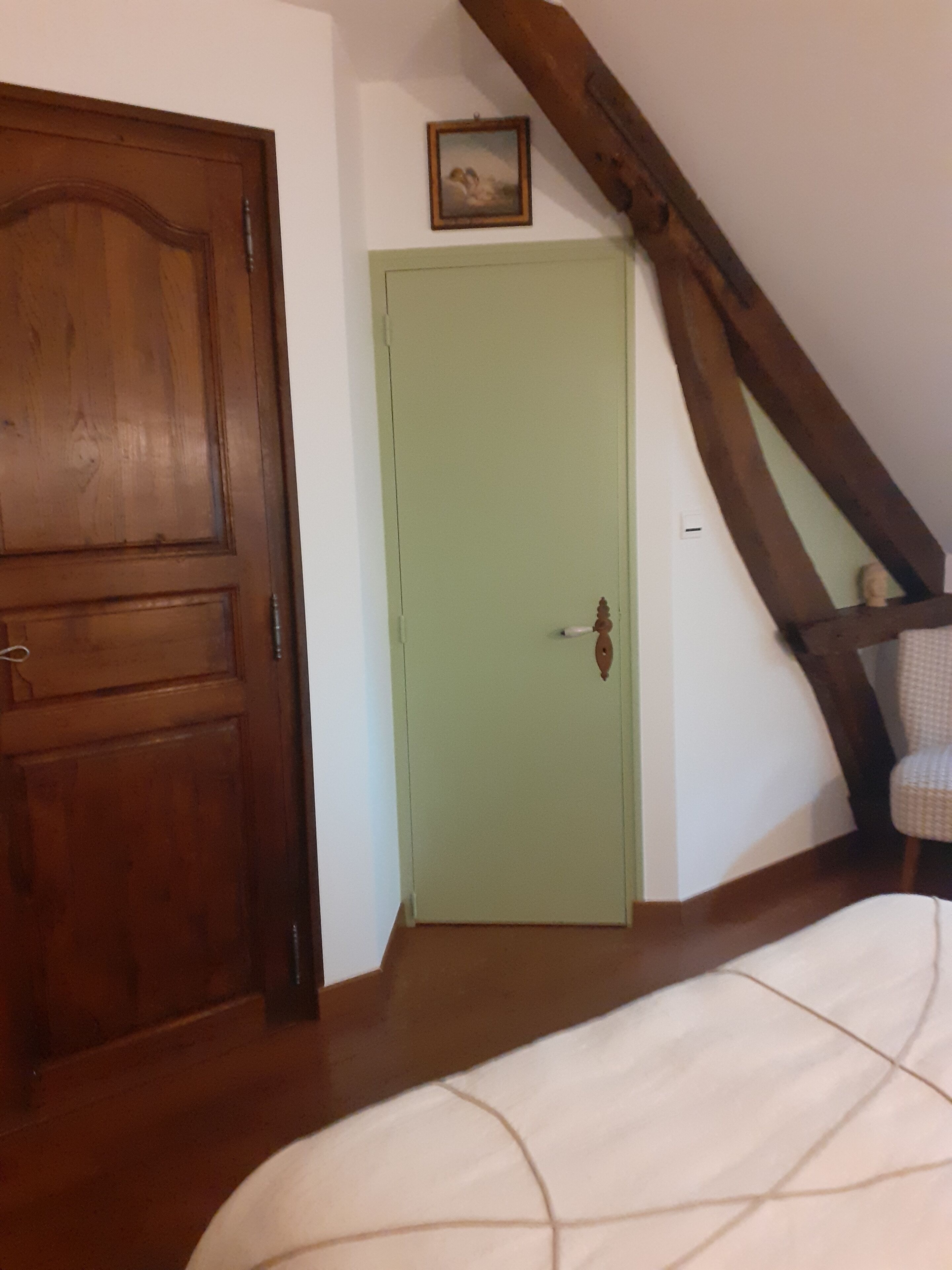 A room with a wooden door, a green door, and a sloped ceiling with exposed beams.
