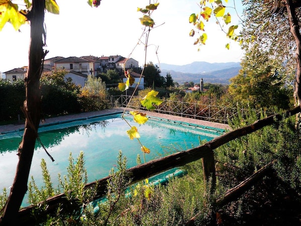 Seasonal outdoor pool, pool umbrellas, sun loungers