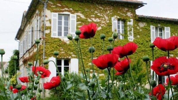 A house with a garden full of red poppies in front. - La Hourqueyre (Saint-Yzans-de-Medoc)