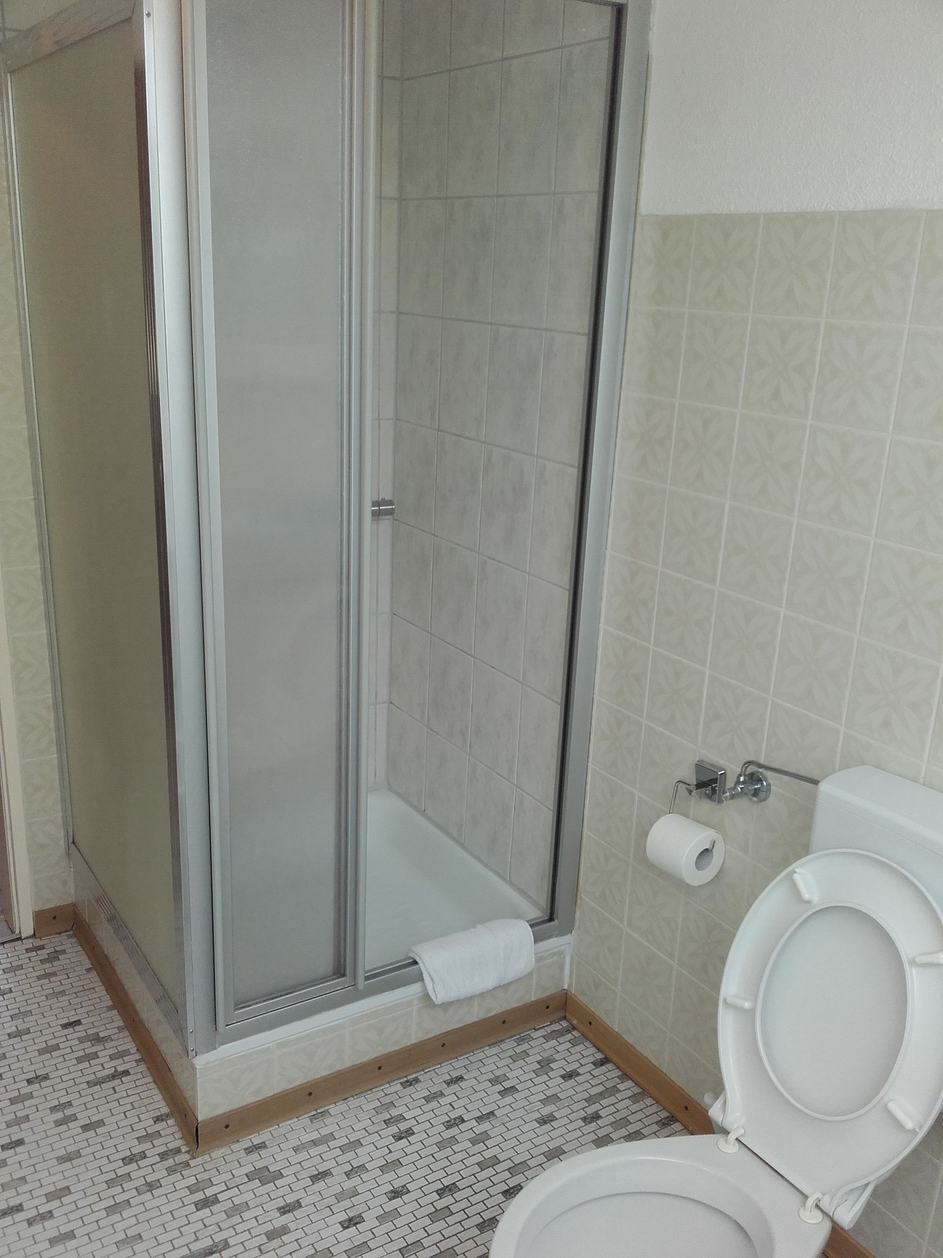 A bathroom with a shower enclosure, toilet, and patterned floor tiles.