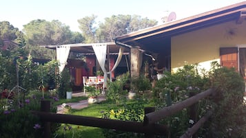Taman