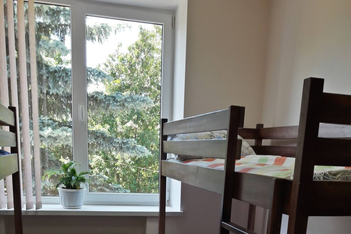 Shared Dormitory (Bed in 4-Bed Room )
