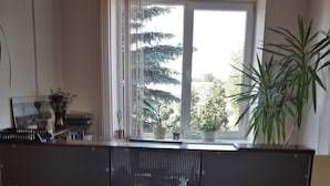 Rezeption