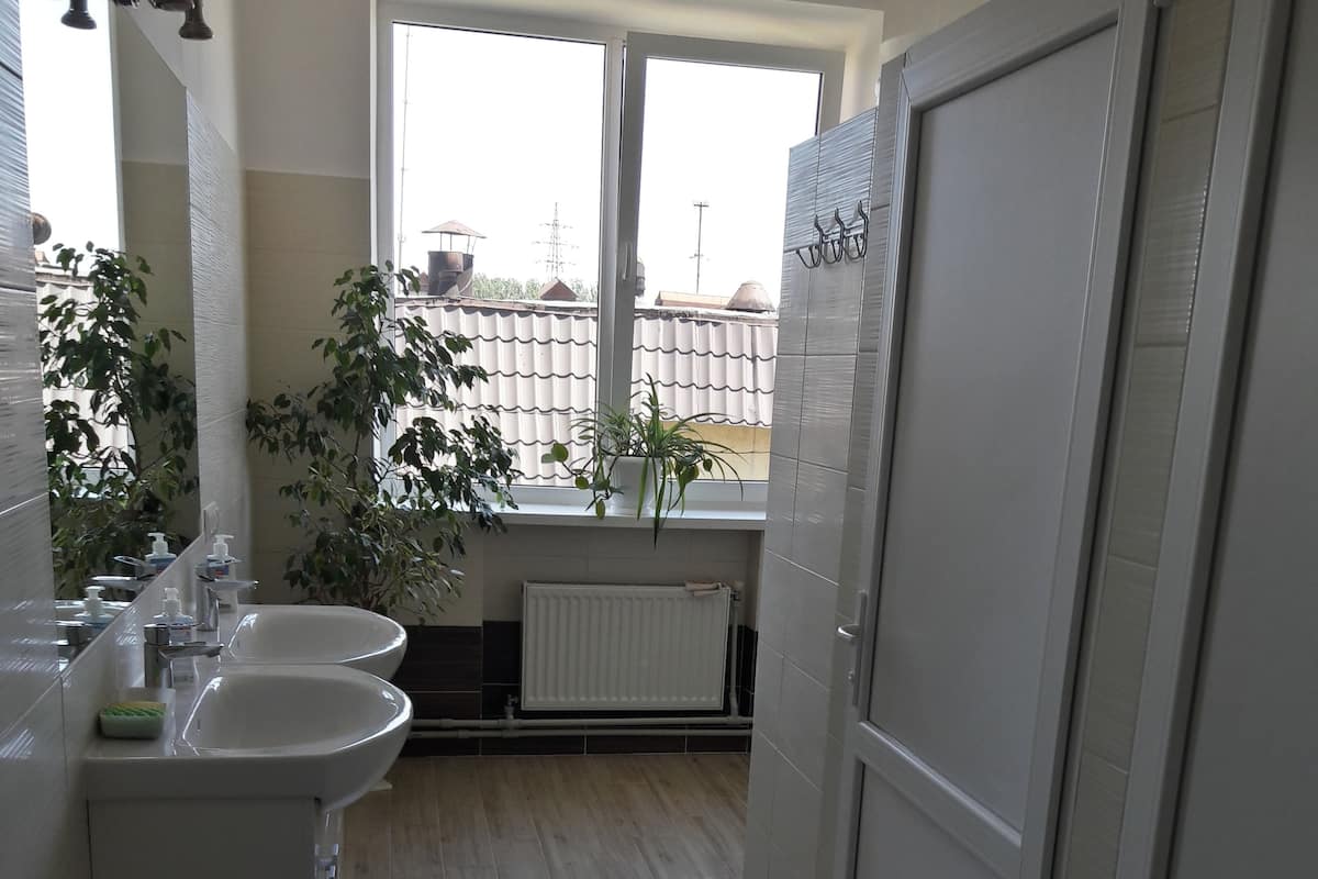 Shower, free toiletries, hair dryer