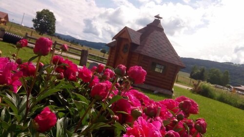 Chambres d'Hôtes La Fée Verte