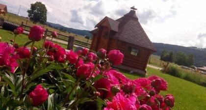 Chambres d'Hôtes La Fée Verte