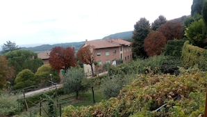 A residential area with a brick building, a garden with grapevines, and a hillside with trees. - La Corte Medicea (Montepulciano)