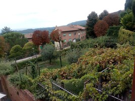A residential area with a brick building, a garden with grapevines, and a hillside with trees.