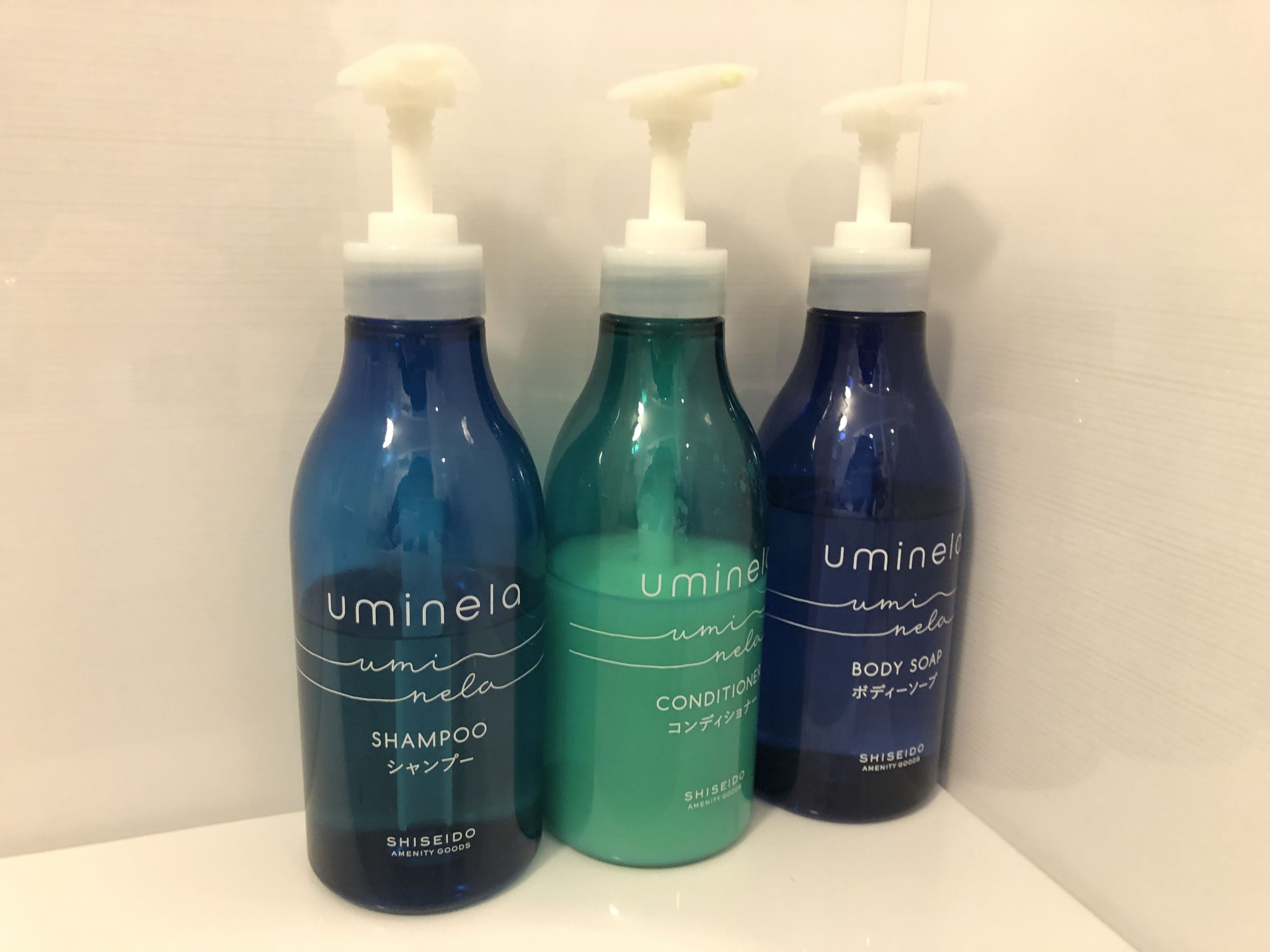 free toiletries, hair dryer, slippers, bidet