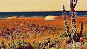 Un paysage côtier avec un ciel dégagé, une plage de sable et un cactus au premier plan.