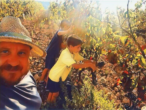 A man and two children in a garden with plants and rocks.