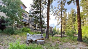 A natural outdoor area with a wooden bench, trees, and a fence.