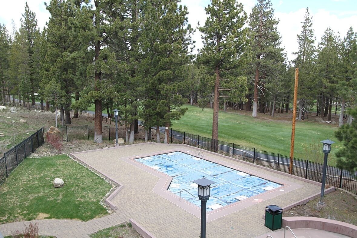 Une piscine extérieure rectangulaire, bordée d’une terrasse carrelée et entourée d’une clôture et d’arbres.
