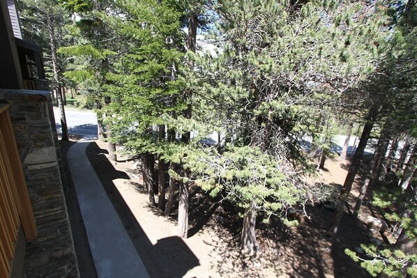 Condo, 1 Bedroom | Property grounds