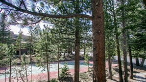A forested area with a tennis court surrounded by trees.