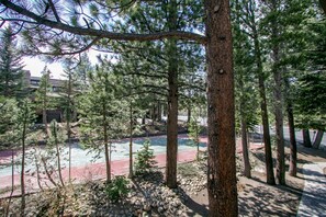 Condo, 1 quarto | Área da propriedade