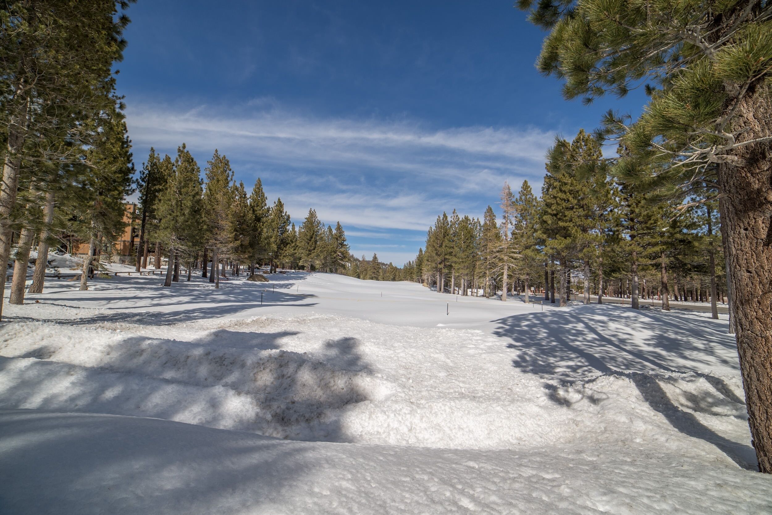 Pista de esquí cubierta de nieve con pinos a cada lado y un cielo azul despejado.