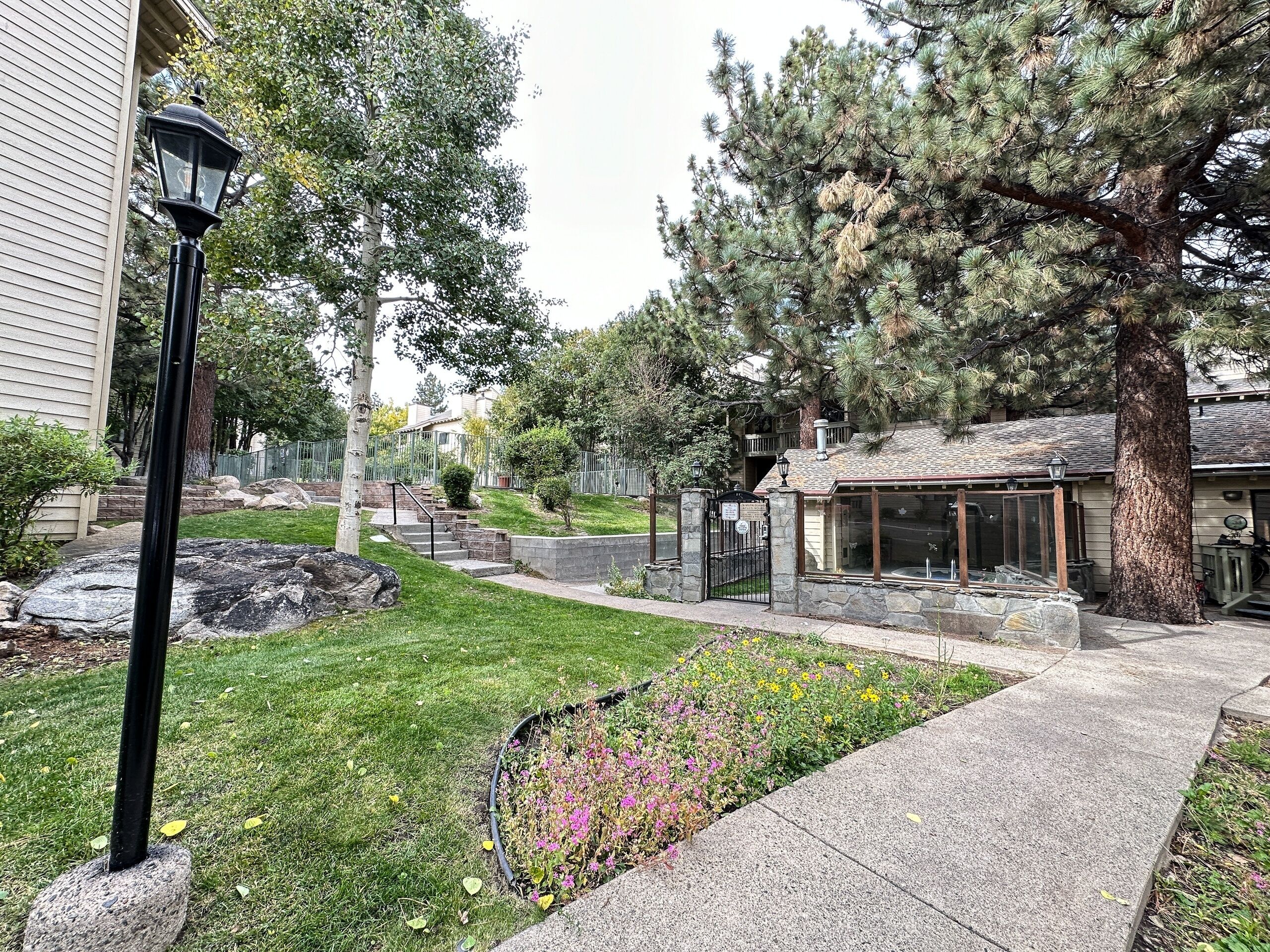 A residential area with a stone pathway, a small garden with flowers, and a building with a glass door.