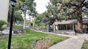 Zona residencial con un camino de piedra, un pequeño jardín con flores y un edificio con puerta de cristal.