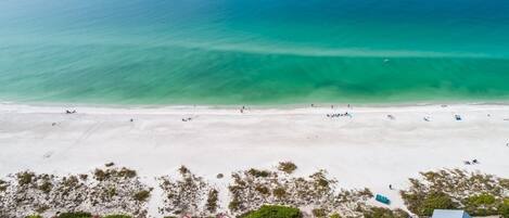 Condo, 2 Bedrooms | Beach | On the beach