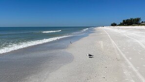 A wide sandy beach with gentle waves, a clear sky, and a few birds on the sand.