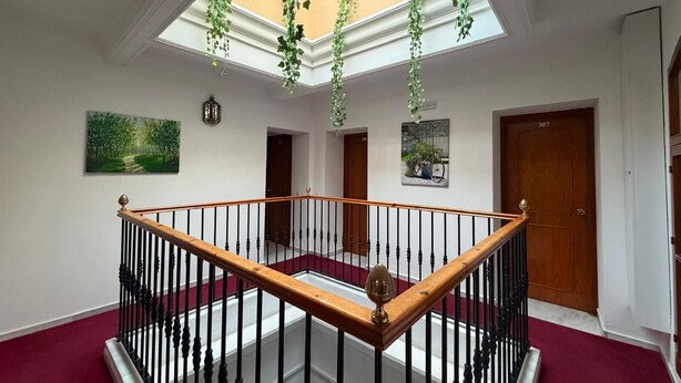 A spacious interior with a wooden staircase, a red carpet, and a skylight with hanging plants. - Hostal Bahía (Cádiz)