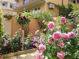 Detalle del exterior