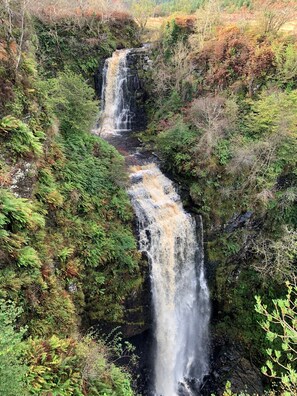 Une cascade d’eau qui dévale au milieu d’une zone forestière luxuriante et verdoyante.