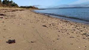 Une plage avec un rivage sablonneux, quelques rochers épars et une éolienne visible au loin.