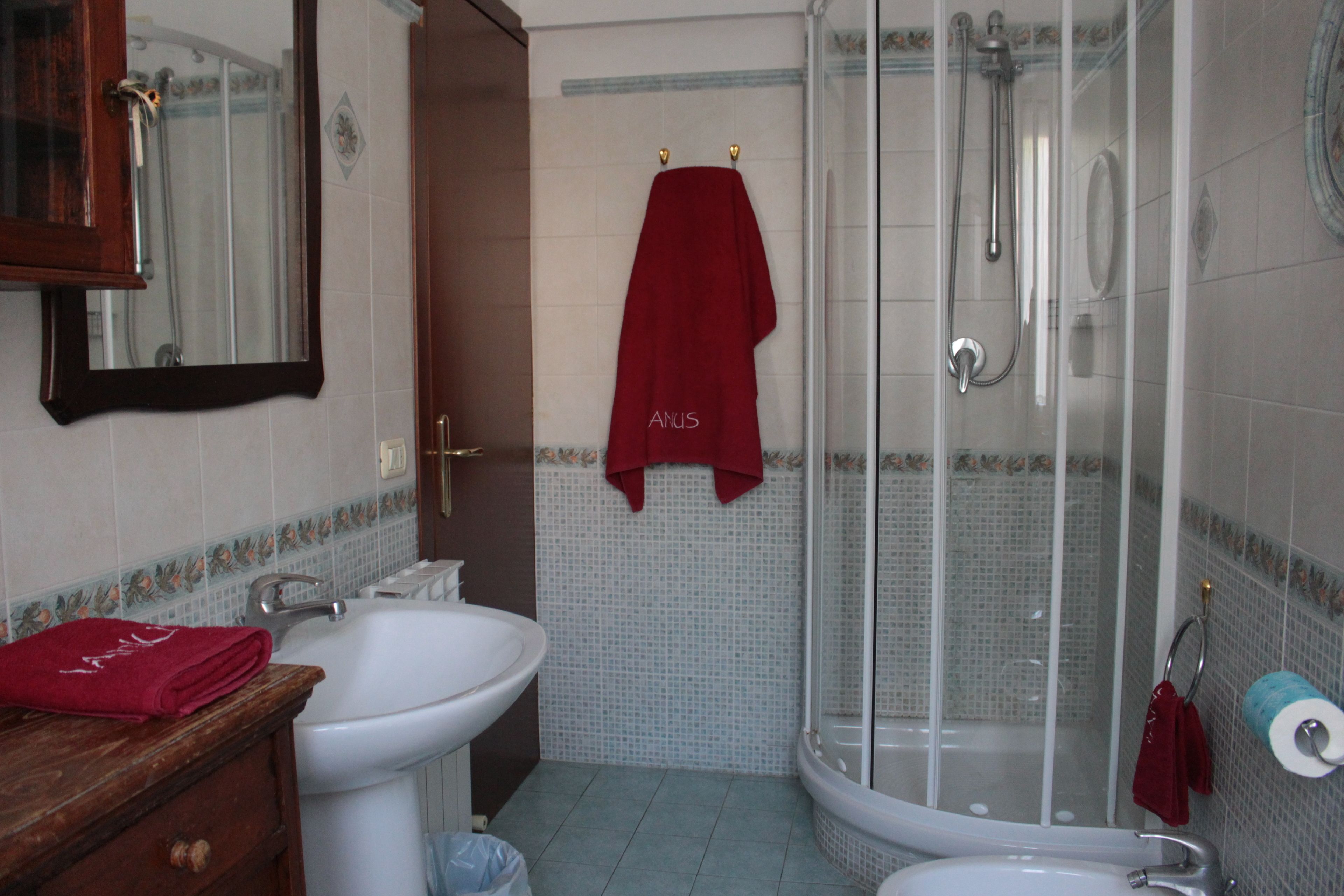 A bathroom with a shower, two sinks, a mirror, and a red towel hanging on the wall.