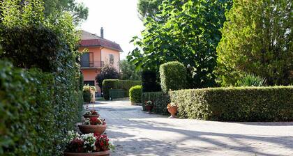 Artisti del Cavallo Tourism