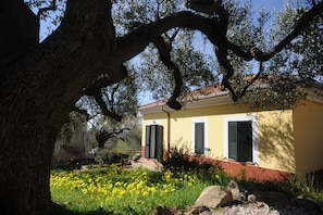 Exterior - Barnìa - Agriturismo (Ascea)