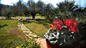 Un vialetto fiorito conduce a un grande albero, circondato da diverse piante e fiori.