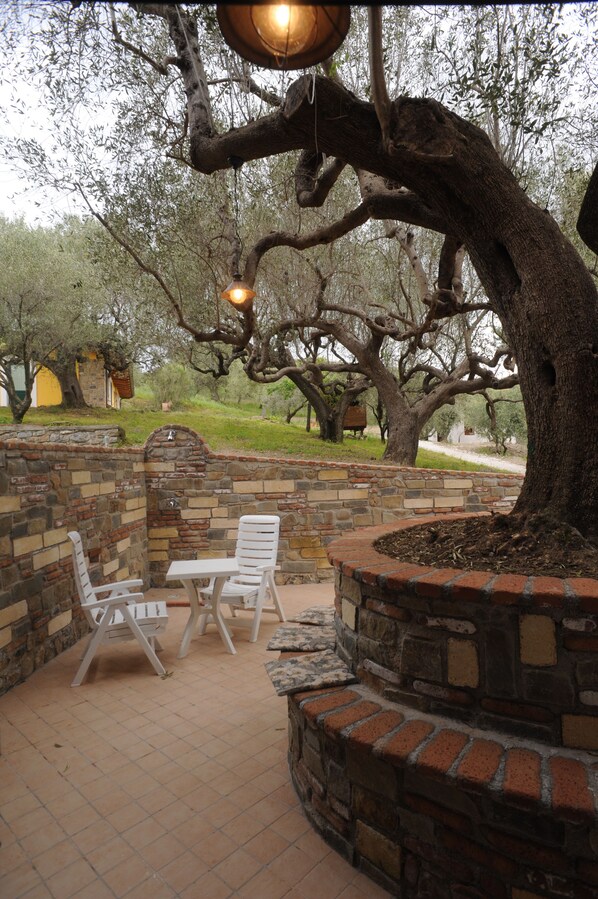 Terrace/patio - Barnìa - Agriturismo (Ascea)