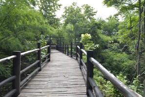 บริเวณที่พัก