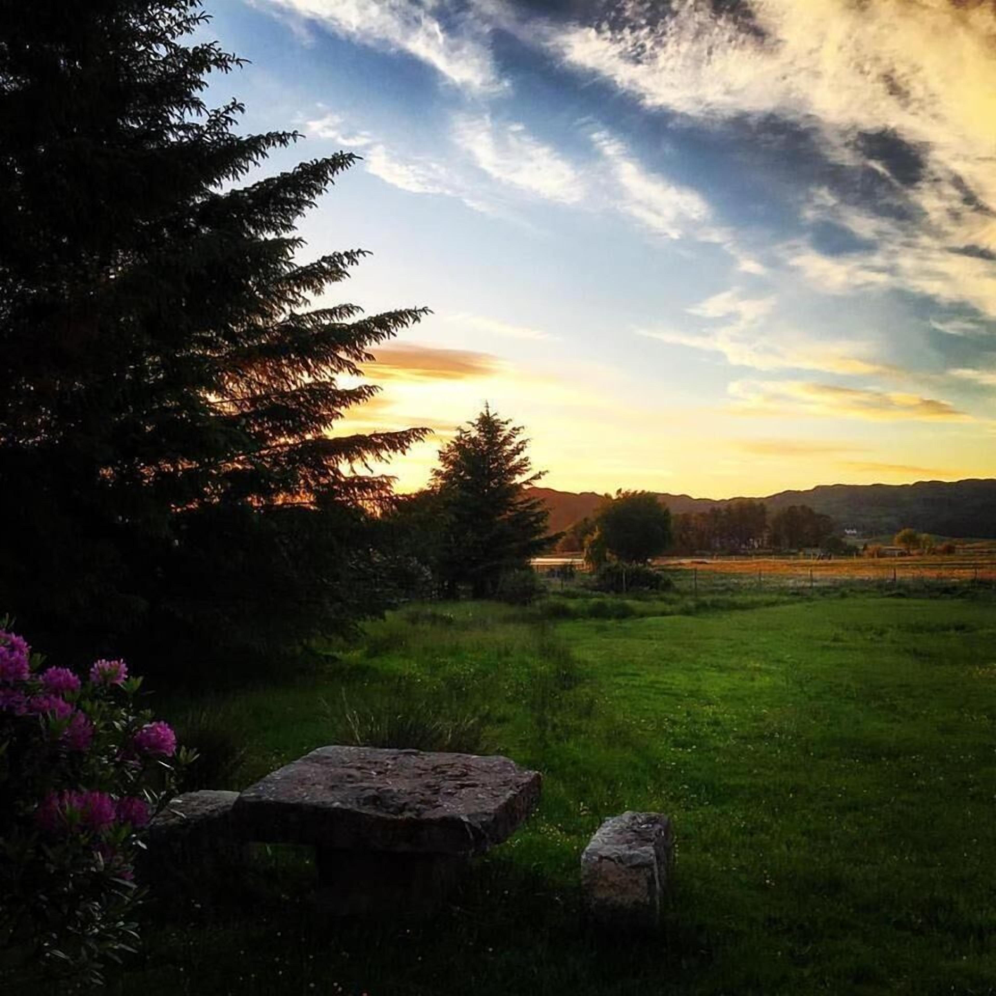 A natural landscape with a grassy field, a large rock, and a tree.