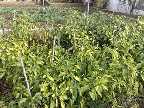 บริเวณภายนอก